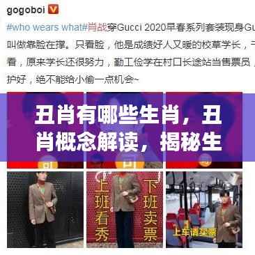 揭秘丑肖生肖特质,探寻生肖中的不完美之处