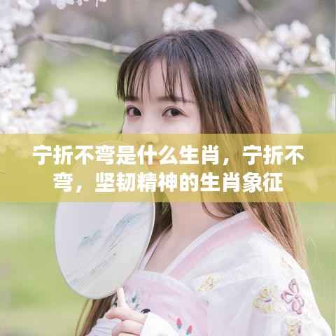 宁折不弯,坚韧精神的生肖象征解读揭秘