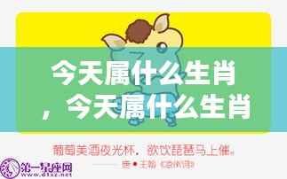 今日生肖运势揭秘,全面解析今日生肖运势!