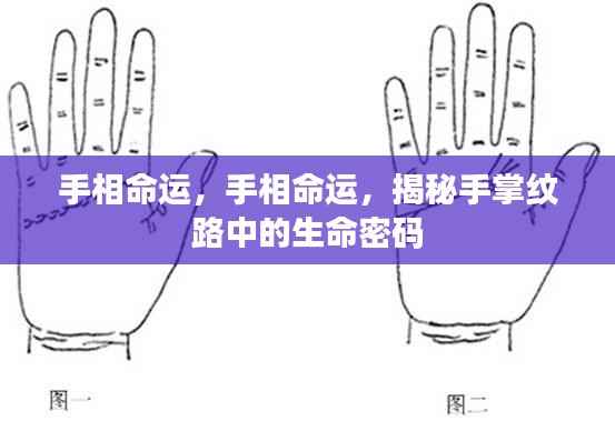 揭秘手相命运,手掌纹路中的生命密码探索