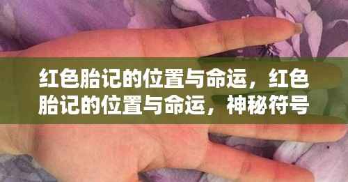 红色胎记的位置与命运,神秘符号揭示生命预言的奥秘