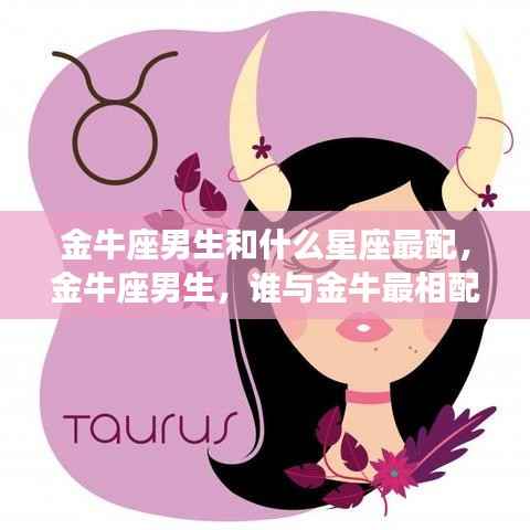 金牛座男生的星座爱情解析,最相配的星座伴侣探索