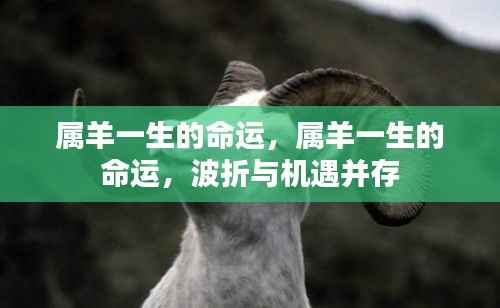 属羊人的命运之路,波折与机遇并存的一生旅程
