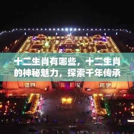 探索千年传承,十二生肖的神秘魅力与文化印记