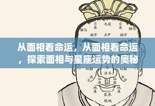 面相与星座运势,命运奥秘的探索之路