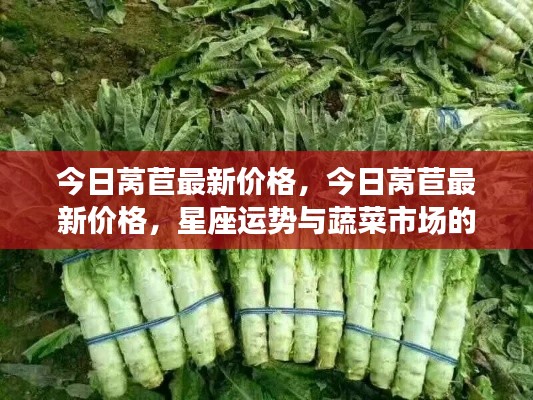 今日莴苣价格走势与星座运势的微妙联系