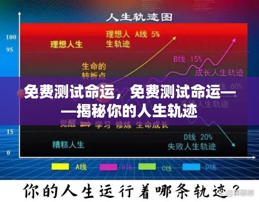 揭秘人生轨迹,免费测试命运,洞悉未来走向!
