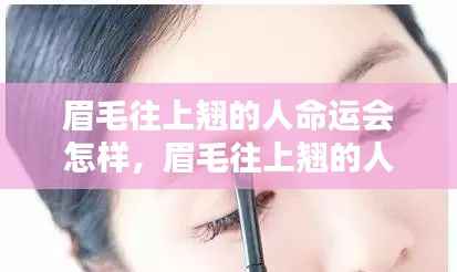 眉毛往上翘的人的命运解析,命运轨迹如何?