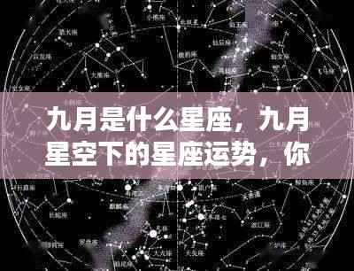 九月星座运势揭秘,星空下的运势走向与准备事项全解析
