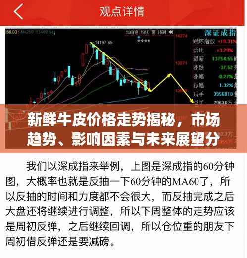 新鲜牛皮价格走势揭秘,市场趋势、影响因素与未来展望分析