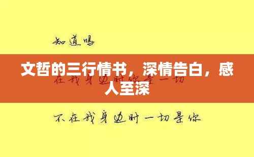 文哲的三行情书,深情告白,感人至深