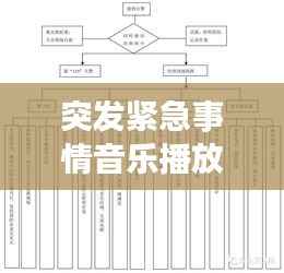 突发紧急事情音乐播放,紧急突发事件处理流程图