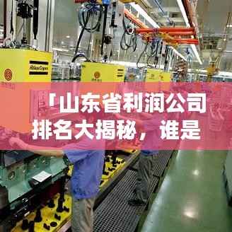 「山东省利润公司排名大揭秘,谁是盈利巨头?」解析附后