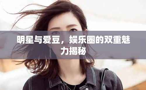 明星与爱豆,娱乐圈的双重魅力揭秘