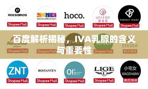 百度解析揭秘,IVA乳腺的含义与重要性
