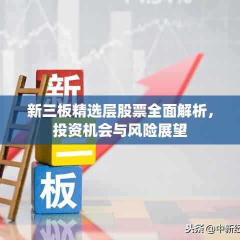 新三板精选层股票全面解析,投资机会与风险展望