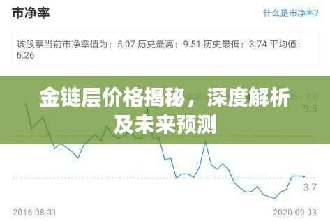 金链层价格揭秘,深度解析及未来预测