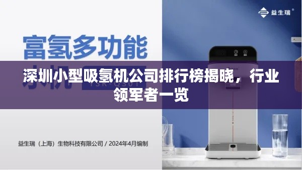 深圳小型吸氢机公司排行榜揭晓,行业领军者一览