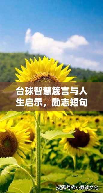 台球智慧箴言与人生启示,励志短句集锦