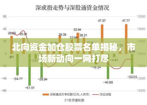 北向资金加仓股票名单揭秘,市场新动向一网打尽
