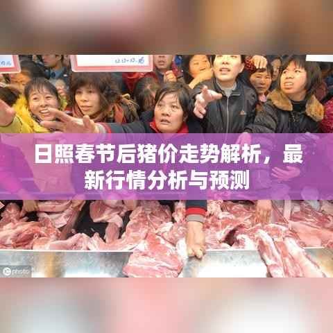 日照春节后猪价走势解析,最新行情分析与预测