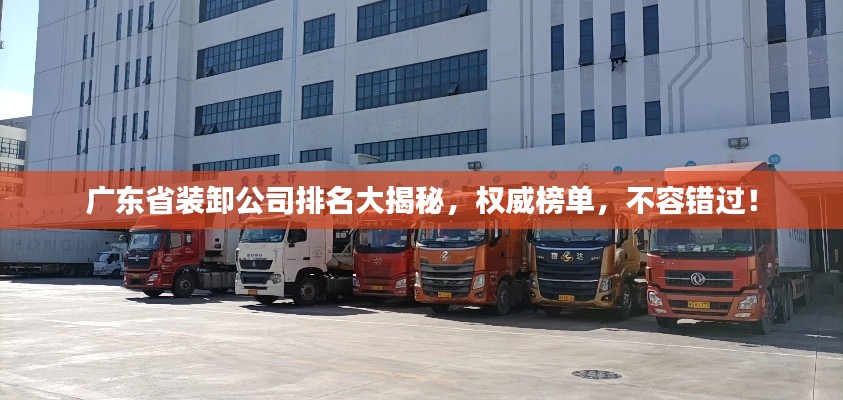 广东省装卸公司排名大揭秘,权威榜单,不容错过!