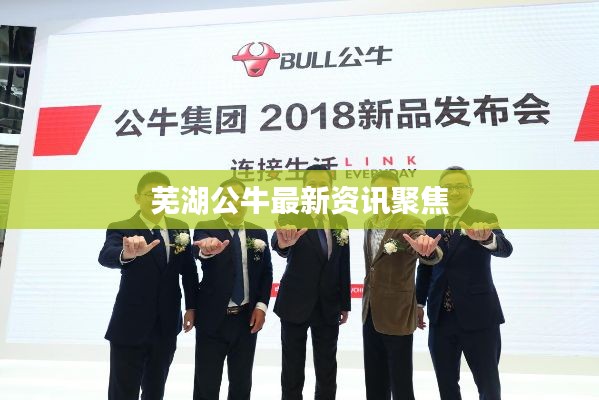 芜湖公牛最新资讯聚焦