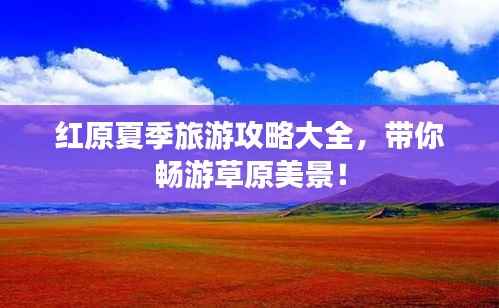 红原夏季旅游攻略大全,带你畅游草原美景!