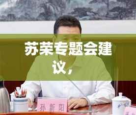苏荣专题会建议,