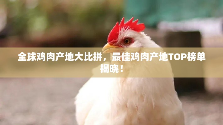 全球鸡肉产地大比拼,最佳鸡肉产地TOP榜单揭晓!