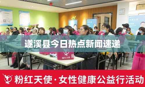 遂溪县今日热点新闻速递