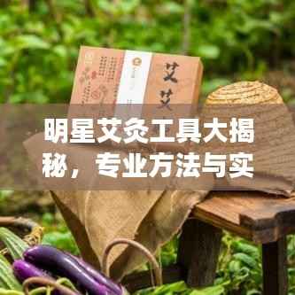 明星艾灸工具大揭秘,专业方法与实用解析