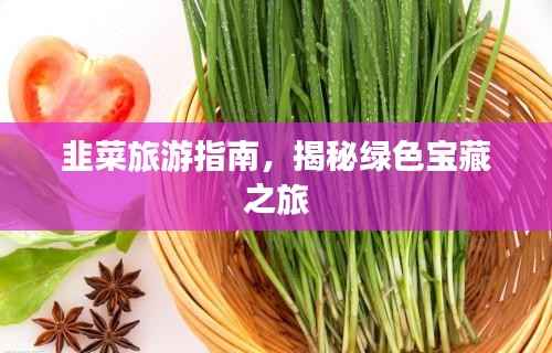 韭菜旅游指南,揭秘绿色宝藏之旅