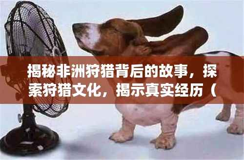 揭秘非洲狩猎背后的故事,探索狩猎文化,揭示真实经历(百度收录热点)