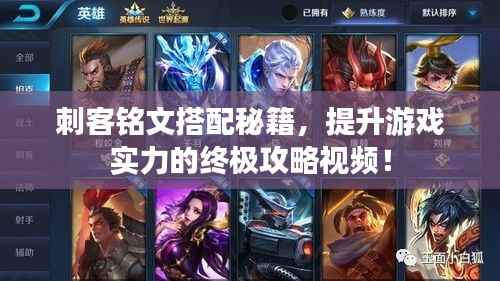 刺客铭文搭配秘籍,提升游戏实力的终极攻略视频!