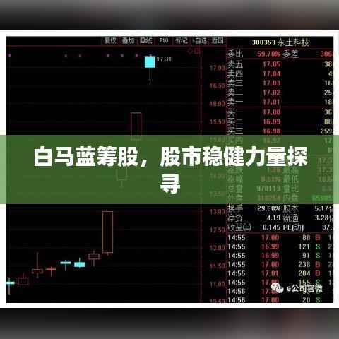 白马蓝筹股,股市稳健力量探寻