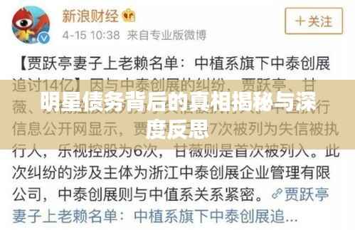 明星债务背后的真相揭秘与深度反思