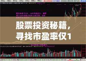 股票投资秘籍,寻找市盈率仅10的宝藏股!