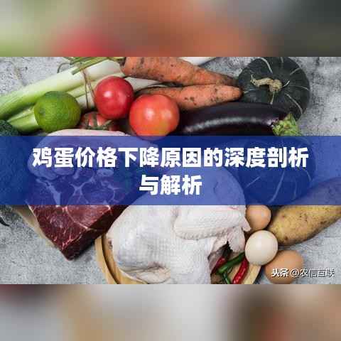 鸡蛋价格下降原因的深度剖析与解析