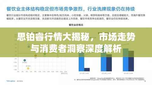 思铂睿行情大揭秘,市场走势与消费者洞察深度解析