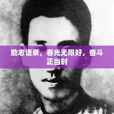 励志语录,春光无限好,奋斗正当时