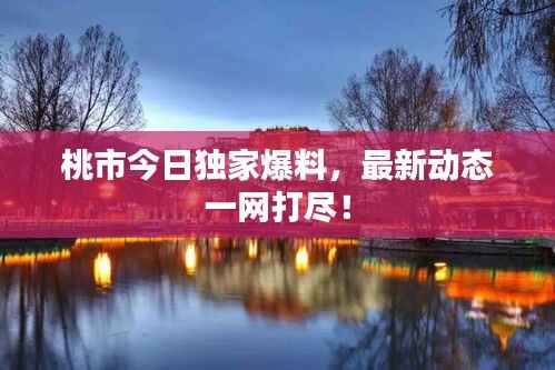 桃市今日独家爆料,最新动态一网打尽!
