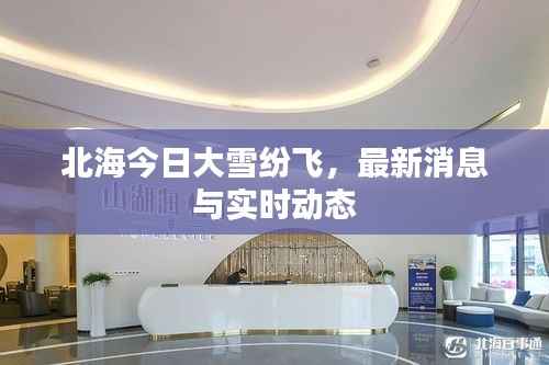 北海今日大雪纷飞,最新消息与实时动态