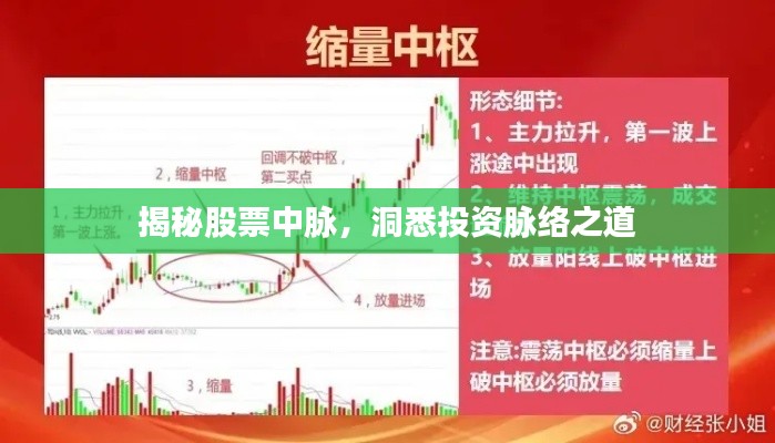 揭秘股票中脉,洞悉投资脉络之道
