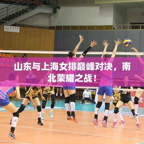 山东与上海女排巅峰对决,南北荣耀之战!