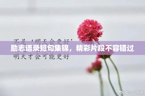 励志语录短句集锦,精彩片段不容错过