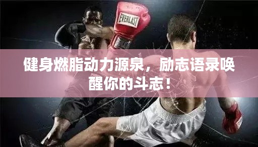 健身燃脂动力源泉,励志语录唤醒你的斗志!