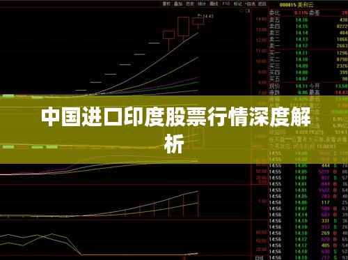 中国进口印度股票行情深度解析
