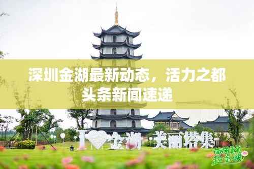 深圳金湖最新动态,活力之都头条新闻速递
