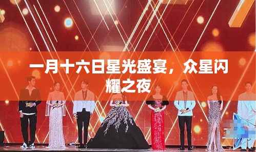 一月十六日星光盛宴,众星闪耀之夜